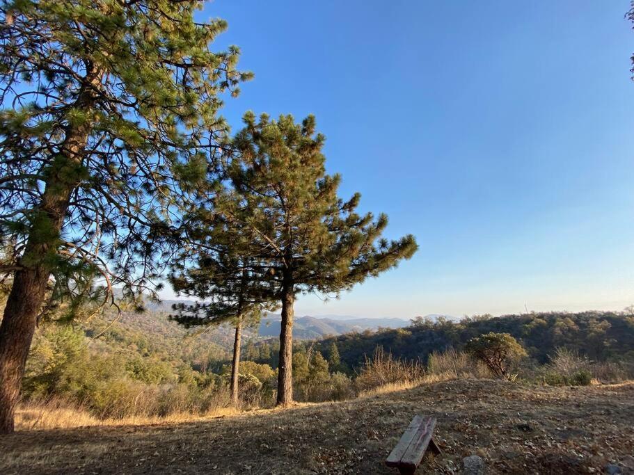 Modern Airstream With Amazing View - 10 To 15 Minutes From Kings Canyon National Park Dunlap Exteriör bild